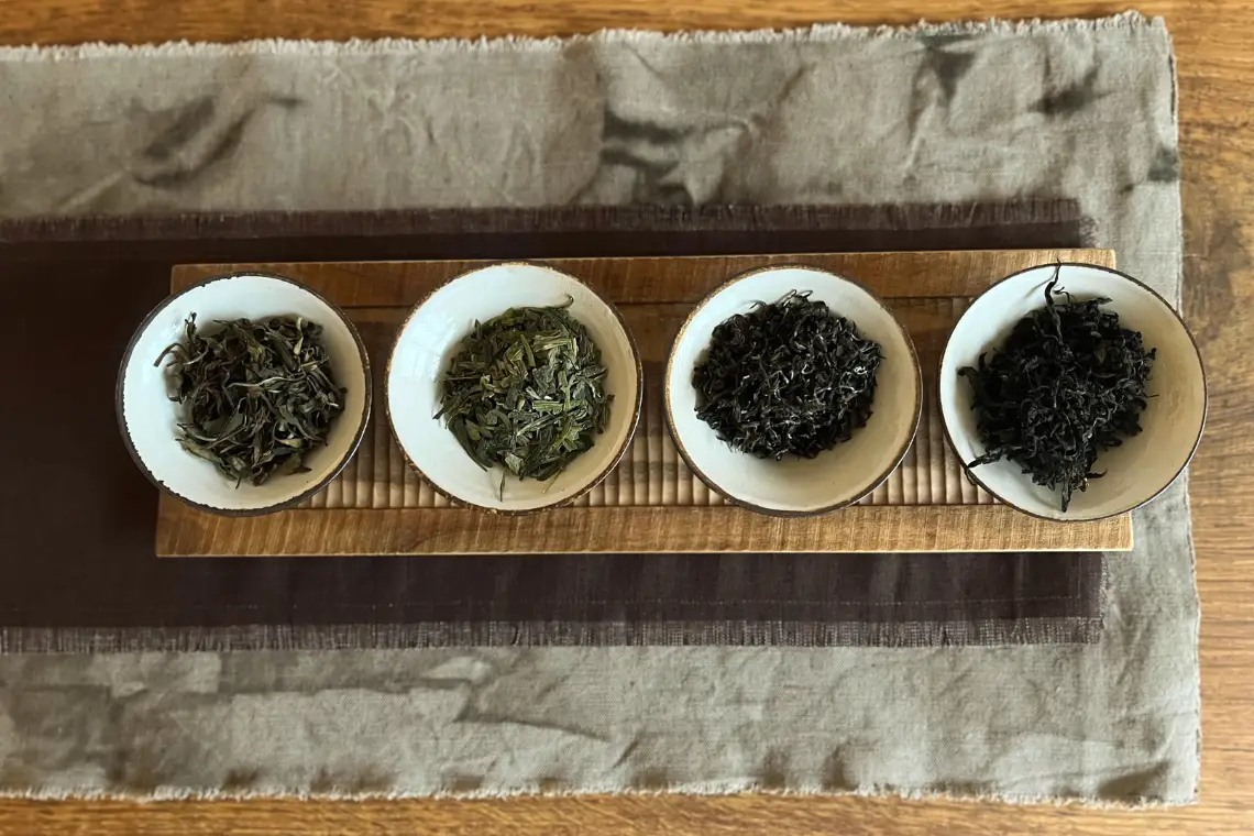 Workshop-Einführung in die Welt der Tees