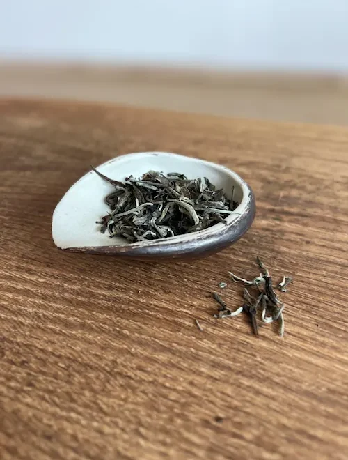 Mit Tee gefüllte Tee-Schütte in Muschelform. Innen creme außen lila-braun.